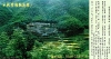 Souvenir entry ticket, Bamboo Forest, Huangshan, Anhui province